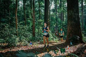 BIB: 
                            <button type="button" onclick="openModal(26130579)" class="btn btn-primary btn-sm float-right btn-popup" data-toggle="modal" data-target=".modal-high-quality">
                        <i class="fas fa-shopping-cart"></i> Add to Cart
                    </button>
                                            <button type="button" onclick="isThisMe(26130579, true)" class="btn btn-success btn-sm float-right btn-popup btn-isme hidden" data-toggle="tooltip" data-placement="bottom" title="นี่คือรูปของคุณใช่ไหม คลิกที่นี่เพื่อเอาเข้าอัลบั้ม">
                        <i class="fas fa-plus"></i> Add to album
                    </button>
                    <button type="button" onclick="isThisMe(26130579, false)" class="btn btn-warning btn-sm float-right btn-popup btn-isnotme hidden">
                        <i class="fas fa-ban"></i> Remove from album
                    </button>